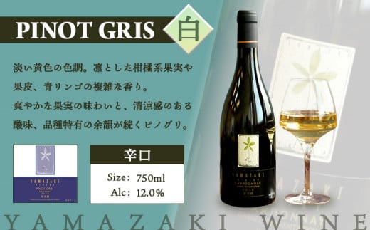 【チョイス限定】山崎ワインPINOT GRIS（白1本・750ml）