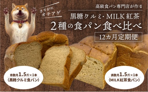 【定期便】黒糖クルミ、MILK紅茶 2種の食パン食べ比べ 計12回 DJ-0004