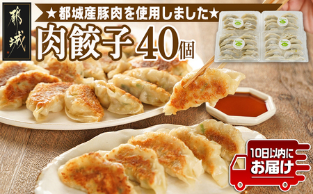 831ハチサンイチの肉餃子40個入り≪みやこんじょ特急便≫_LE-K601-Q_(都城市) 肉餃子 都城産豚使用 柚子胡椒たれ付 