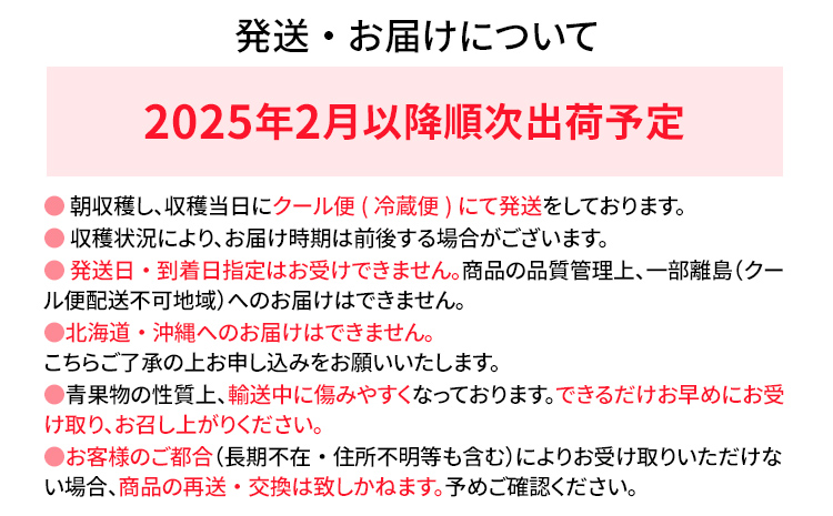 【訳あり】 期間限定 いちご あまおう 苺 イチゴ 1.3kg 【訳あり品】あまおう（小玉）、4パック（330g/パック）【2025年2月以降順次発送】 フルーツ 果物 くだもの 訳あり 小玉 ※北海