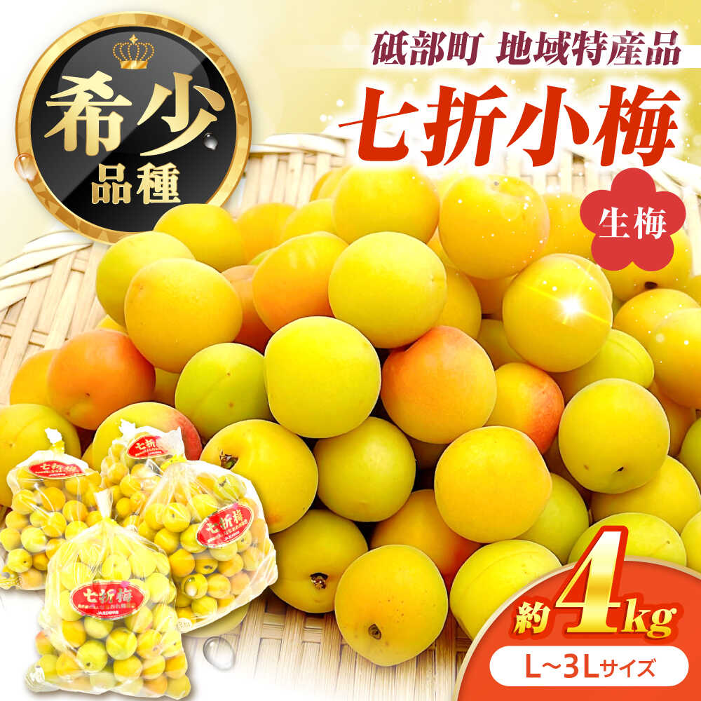 【ふるさと納税】梅 七折小梅(生梅) 4kg 【5月中旬から6月下旬まで順次発送】 / 先行予約 梅干し 梅酒 梅ジュース 梅シロップ 梅ジャム うめ ウメ 果肉 青いダイヤ青梅 生梅 愛媛県産 果実 国産 人気 おすすめ / 愛媛県砥部町/株式会社フジ・アグリフーズ[BJBI012]