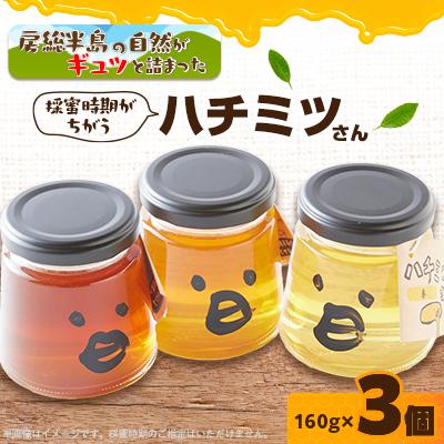ふるさと納税 いすみ市 いすみ市の『ハチミツさん』160g×3個