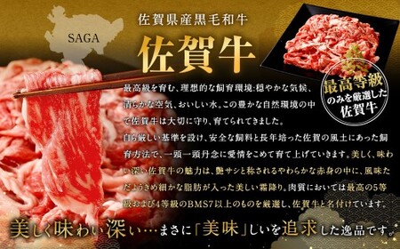 博多和牛 スライス（サーロイン）400g ＋佐賀牛 切り落とし 400g 合計800g 和牛 牛 牛肉 うし 肉 お肉 赤身 肩肉 バラ肉