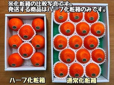 ［2箱セット］ハーフ 化粧箱 柑橘の大トロ ハウス せとか 厳選 8玉入 × 2箱 南泰園