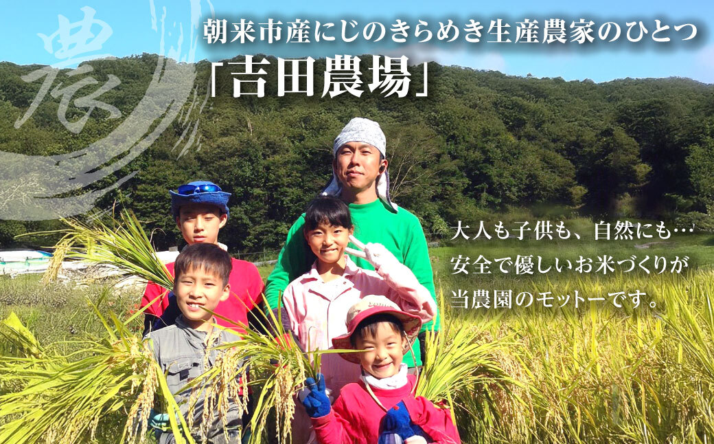令和7年産 新米 兵庫県朝来市産 にじのきらめき （白米） 5㎏×6か月 【 令和7年産 新米 にじのきらめき 単一原料米 国産 5kg 6か月 30kg 定期便 お米 米 コメ こめ 精米HACCP