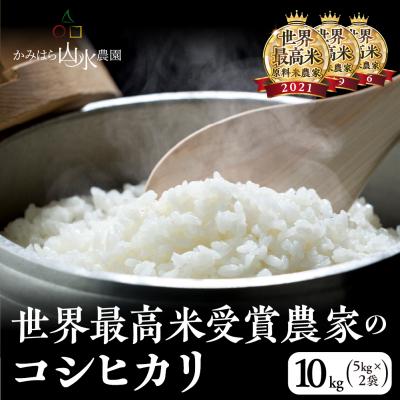 ふるさと納税 下呂市 (2026年11月から順次発送)新米【2026年産】コシヒカリ 米 10kg【28-4】