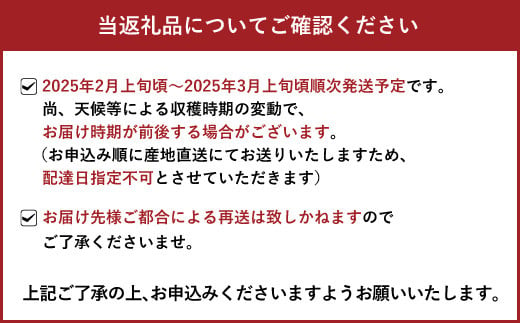 【先行予約】おでこちゃん 約4kg 【2025年2月上旬から3月上旬発送予定】