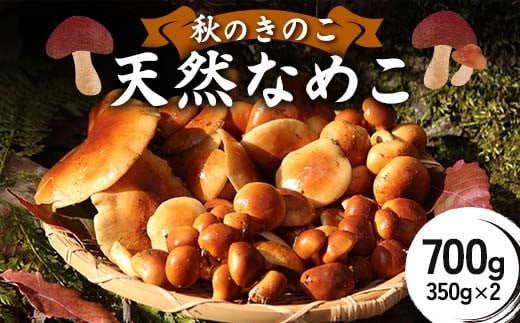 
                  ＜2026年11月上旬より発送＞秋のきのこ 天然なめこ 700g（350g×2袋） F2Y-6172
                