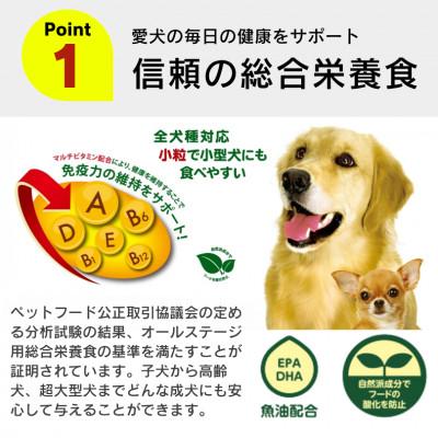 ふるさと納税 久留米市 A Pro ラム味 8kg×2袋(久留米市) |  | 01