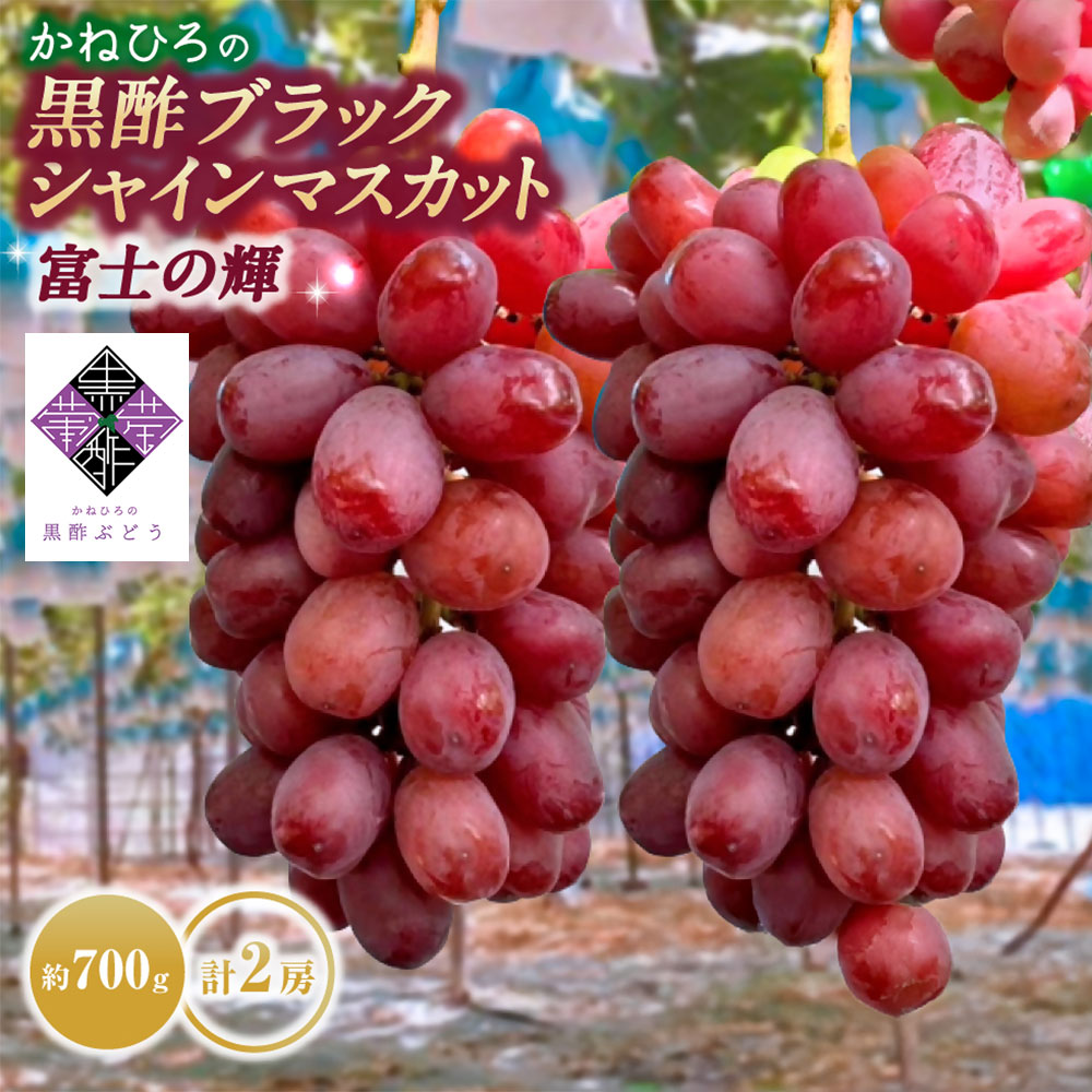【ふるさと納税】かねひろの黒酢ブラックシャインマスカット～富士の輝き （計2房/約700g以上） 【2026年9月中に順次発送予定】 ブラックシャインマスカット 葡萄 ぶどう ブドウ 果物 くだもの フルーツ 国産フルーツ 佐賀県産 太良町産 佐賀県 太良町 送料無料 PB11x1