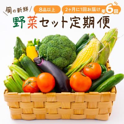 ふるさと納税 御坊市 【発送月固定定期便】旬の新鮮野菜セット8種以上 偶数月にお届け【野菜詰め合わせ】全6回