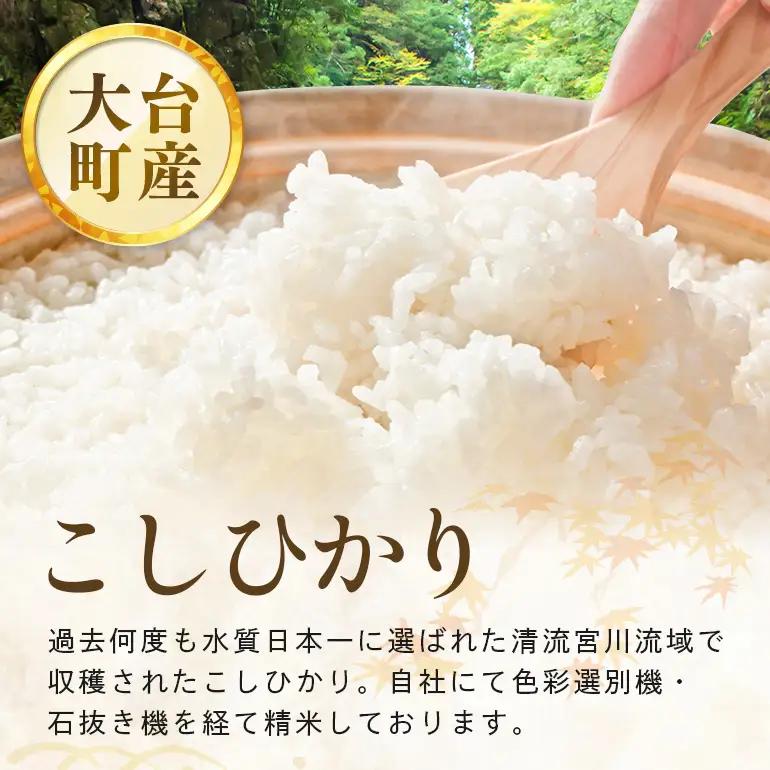 【定期便6回】こしひかり 玄米 10kg (計60kg) 真空パック A17-037