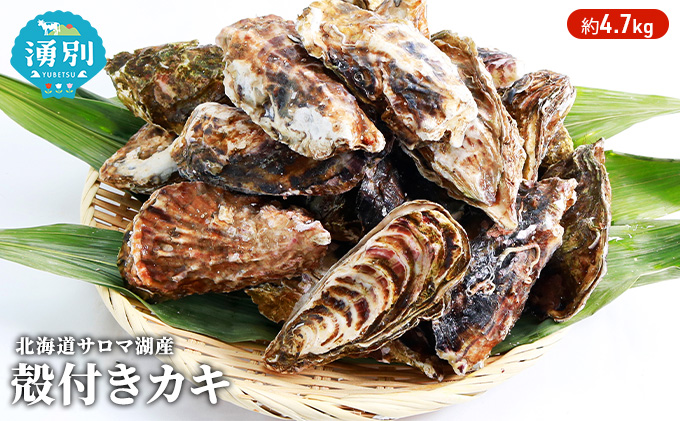 北海道 サロマ湖産 カキ 約4.7kg 牡蠣 海鮮 魚介 国産 殻付き 
