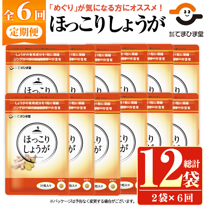 No.1296-B ＜定期便・全6回(隔月)＞ほっこりしょうが(1袋 31粒入り・2袋×6回)  鹿児島 日置市 健康食品 加工食品 サプリメント 栄養 食生活 安心安全 定期便 【てまひま堂】