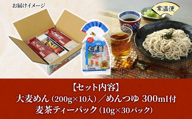 大麦麺 200g×10入 麦茶 10g×30パック 詰め合わせ ざる麺 麺 主食 温かい 冷たい つゆ めんつゆ ノンカフェイン 茶 お茶 水出し 煮出し ホット アイス 水分補給 飲料 グルメ アレ