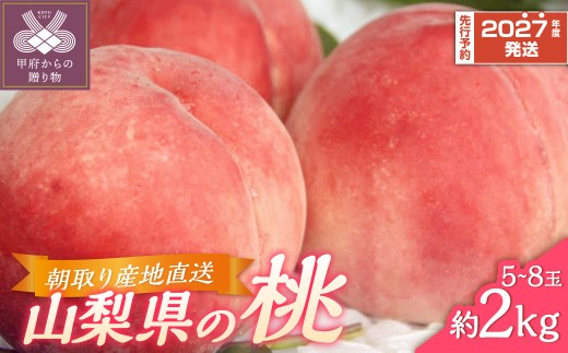桃〈先行予約 / 2027年度配送分〉甲府市産 桃 約2kg（5～8玉） もも モモ ピーチ もぎたて 朝取り 産地直送 冷蔵配送 クール便 2027年6月下旬～8月下旬頃 期間限定 数量限定