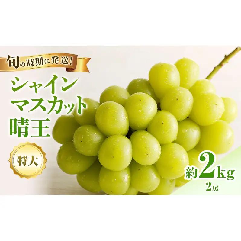 シャインマスカット 晴王 秀品特大 岡山県産 シャインマスカット【2房 約2kg】【先行予約】