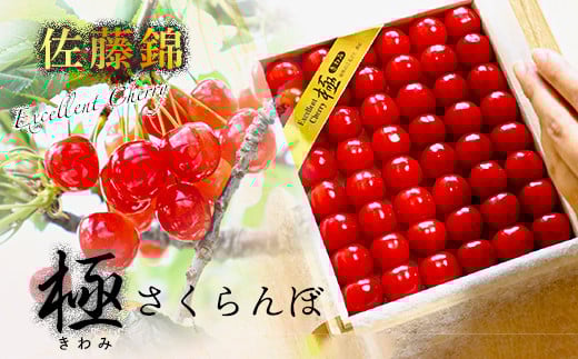 
            極みさくらんぼ (佐藤錦)　2026年発送
          