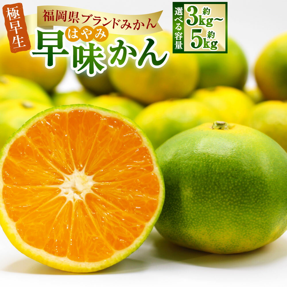 【ふるさと納税】＜選べる容量＞福岡県ブランドみかん 早味かん 3kg もしくは 5kg みかん 極早生 ミカン フルーツ 果物 くだもの 柑橘 国産 九州 福岡 福岡県 岡垣町 送料無料【2025年9月下旬～10月下旬発送予定】