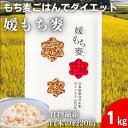 【ふるさと納税】媛もち麥1kg／もち麦 麦ごはん 雑穀　【 食物繊維豊富 食物繊維 もちもち プリプリ 食感 食品 食べ物 ご飯 おにぎり お弁当 主食 毎日 炭水化物 国産 日本産 愛媛県産 東温市産 直送 産地直送 】