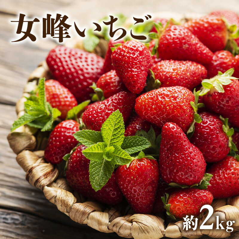 【ふるさと納税】【配送不可地域：北海道・沖縄県・離島】 女峰いちご　約2kg 秋 旬 五色青果