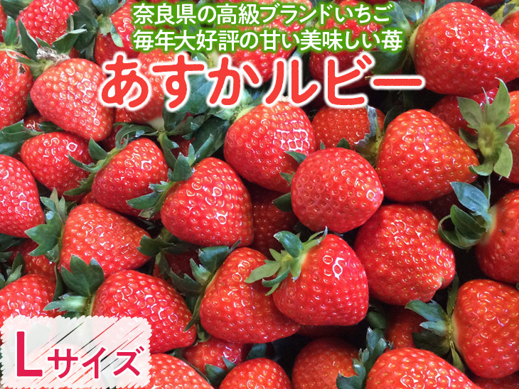 
            おかげさまで20周年 毎年大好評の甘い美味しい苺（レギュラーパックLサイズ）（あすかルビー）
※発送前に電話連絡あり
※2024年1月より順次発送予定
※北海道・沖縄・離島への配送不可
          