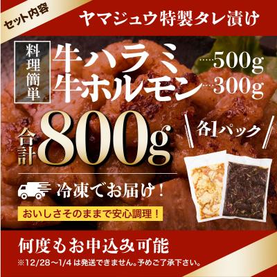 ふるさと納税 室戸市 ヤマジュウの特選タレ漬け!牛ハラミ肉500g&国産牛ホルモン300g |  | 03