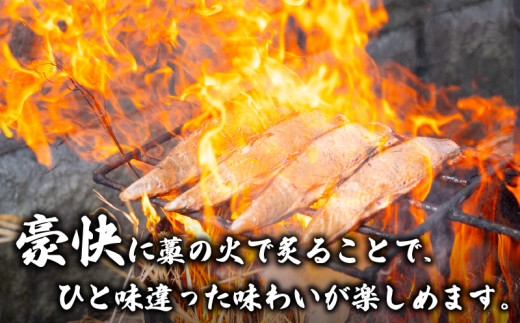 【 高知の鰹 】 藁焼き かつおタタキ と トロ焼き かつお セット 鰹 かつを 炙り たたき 刺身 さしみ 刺し身 わらやき わら焼き ハラモ ぽん酢 ぽんず ポンズ 絶品 海鮮 おつまみ 酒の肴 