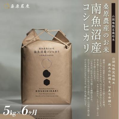 ふるさと納税 南魚沼市 【毎月定期便】桑原農産 山間地限定米 南魚沼産こしひかり5kg全6回