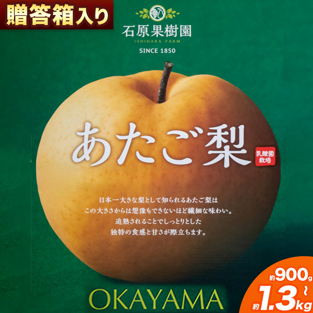 【ふるさと納税】梨 あたご梨 1玉 選べる 約900g 約1.1kg 約1.2kg 約1.3kg 贈答箱入り 石原果樹園《2026年11月中旬-12月下旬頃出荷》岡山県 浅口市 フルーツ 果物 ギフト 贈り物 国産 岡山県産 送料無料