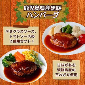 y460 鹿児島県産黒豚ハンバーグ2種セット 計840g (デミグラスソース140g×3P、トマトソース140g×3P) 国産 九州産 豚肉 ソース付き 惣菜 おかず 弁当 小分け 個包装 冷凍 【ナ