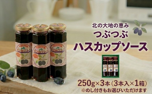 
                  ＜ 北の大地の恵み ＞ つぶつぶハスカップソース ギフトセット 250g×3本 選べる のし 有無 常温 北海道 北海 安平町 安平 ギフト ハスカップ ソース トッピング そーす
                
