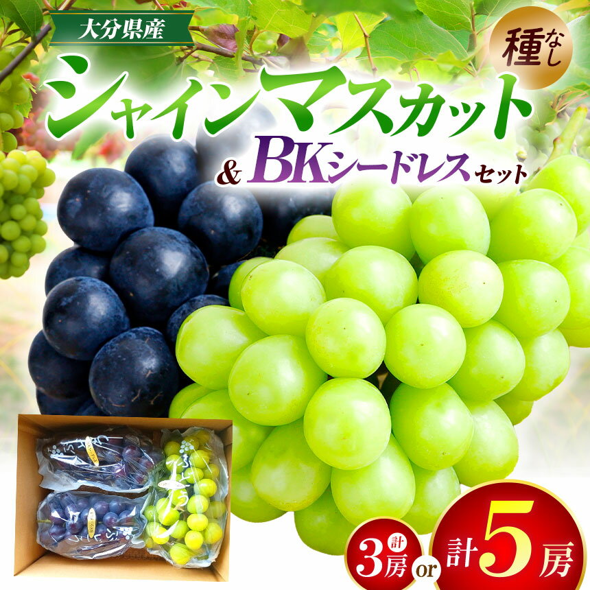 【ふるさと納税】【先行予約】選べる内容量！シャインマスカット＆BKシードレス ぶどう食べ比べセット（約1.8kg・約2.8kg）| フルーツ 果物 ブドウ 葡萄 シャインマスカット マスカット 巨峰 種無し 食べ比べ 大分県 中津市【発送は2026年9月〜2026年10月上旬頃を予定】