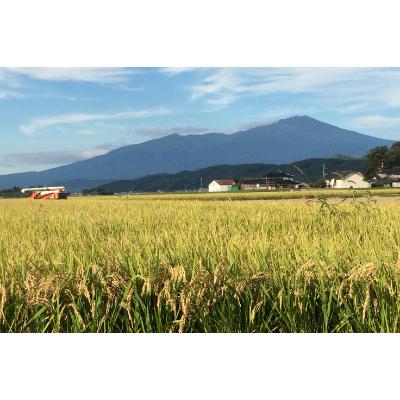 ふるさと納税 酒田市 ちっちゃな農家の大きな夢　やさしいお粥　発芽玄米入り玄米粥 |  | 01