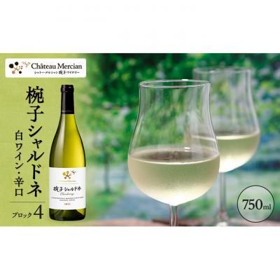 ふるさと納税 上田市 限定 ワイン 椀子シャルドネ ブロック4 ミッドナイト・ハーベスト 750ml[54040412]