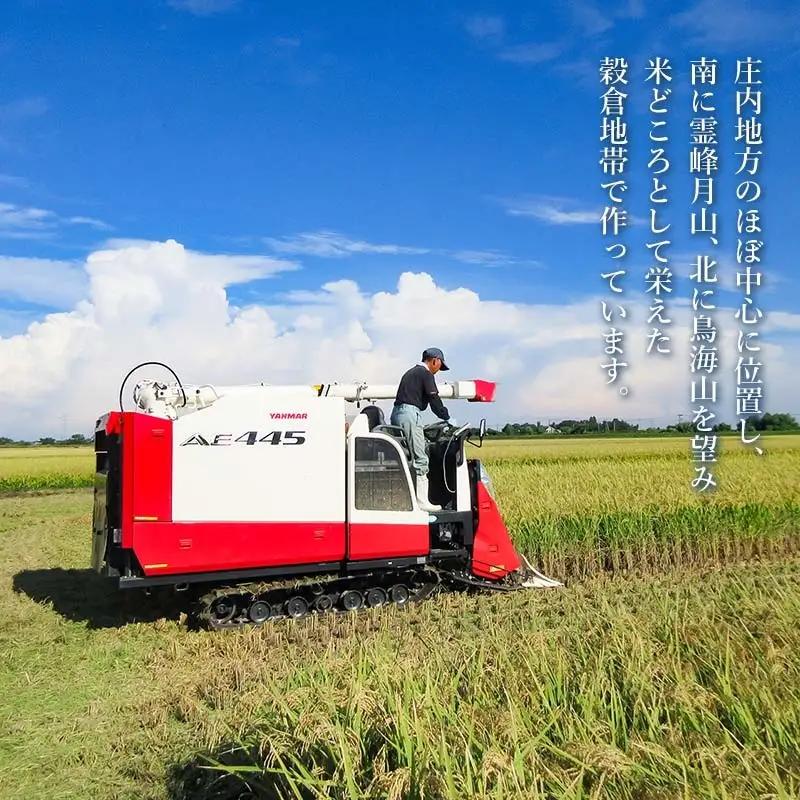 【令和7年産】特別栽培米 つや姫（タニシ米）精米10kg（5kg×2袋）　山形県鶴岡産　アベ・アグリ米　| つやひめ 米 コメ こめ 10キロ 米どころ 庄内米 ブランド米 ご飯 ごはん 美味しい お