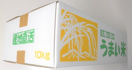 令和７年産　山形のお米　米囃子（つや姫）５ｋｇ×２袋　0017-2537