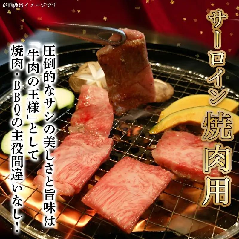 【A5】宮崎牛サーロイン焼肉×スライスギフト1kg【化粧箱入り】〔AI-0102〕_(都城市) 最高級A5ランク 宮崎牛サーロイン 焼き肉用 サーロインスライス 各500g 木製化粧箱 牛肉 食べ応え