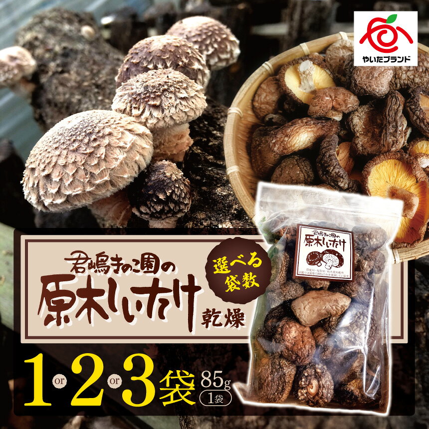 【ふるさと納税】乾燥しいたけ | 1袋 2袋 3袋 | 徳用 家庭用 数量限定 国産 原木 乾燥しいたけ 肉厚しいたけ しいたけ キノコ 原木栽培 きのこ 国産きのこ 天然 野菜 無農薬 低カロリー 料理素材 おせち 出汁 お取り寄せ 栃木県 矢板市