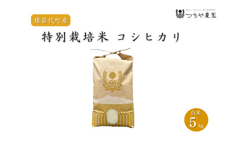 【令和7年度産】 つちや農園 猪苗代町産 特別栽培米コシヒカリ 5kg（精米）| お米 米 こしひかり
