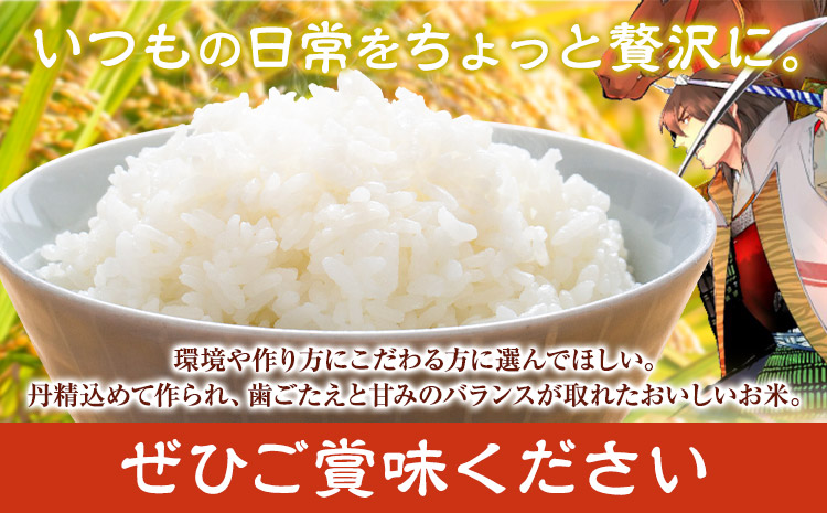 令和7年産 きくち棚田無洗米 10kg ひのひかり《30日以内に出荷予定(土日祝除く)》熊本県 菊池市 米 こめ ヒノヒカリ お米 ブランド米 単一原料米 菊池