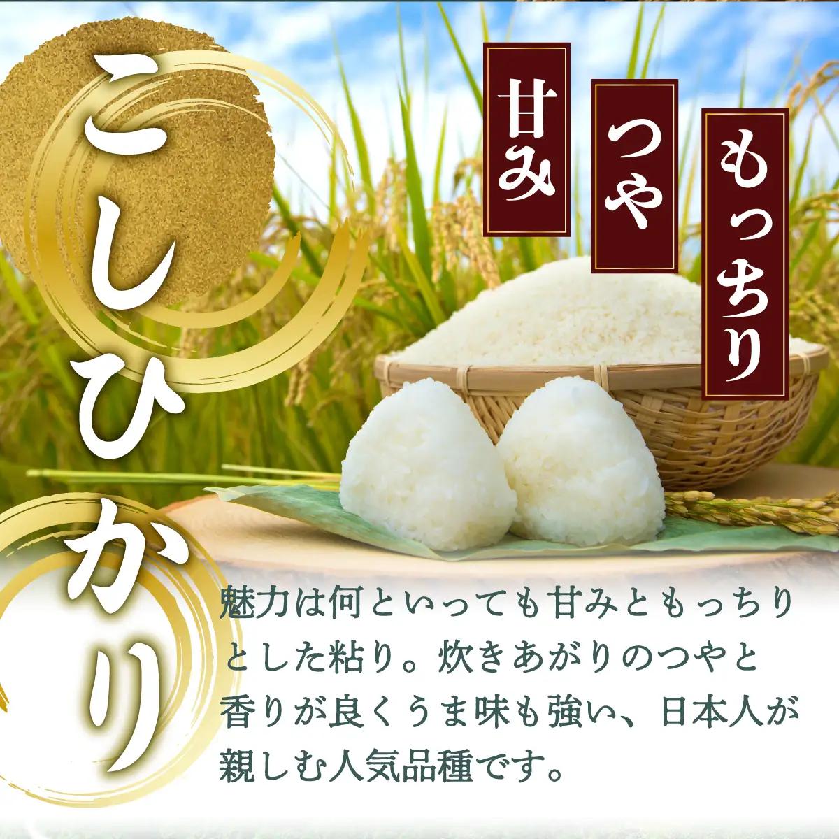 【先行予約】 ＜定期便全4回＞令和8年産 野根川米20kg（20kg×1袋） こしひかり