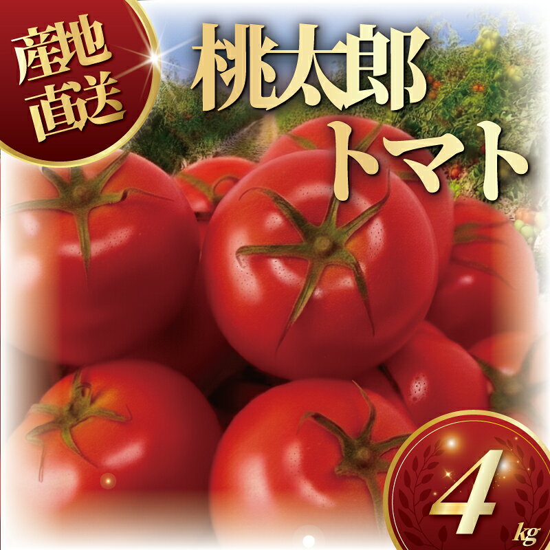 【ふるさと納税】 桃太郎 トマト 4kg トマト 野菜 やさい 果物 とまと ハウス栽培 tomato 甘い リコピン トマト フルーツ 先行予約 2026年 産地直送 数量限定 農家直送 鮮度 新鮮 土耕栽培 栽培 ビタミンC 美容 健康 栄養 お弁当 先行予約 亀井農園 10000円 神奈川 湘南 藤沢