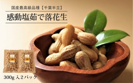 【先行予約・2025年9月下旬より順次発送】国産 塩茹で落花生 300 g × 2 パック（AX7506）