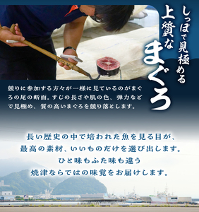 a24-038　焼津ミナミマグロBコース