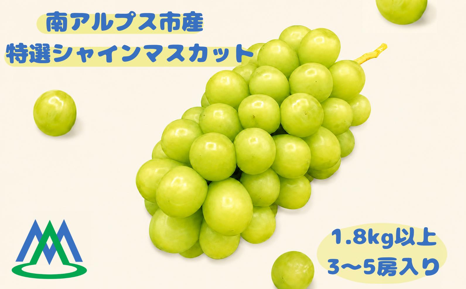 
                  南アルプス市産 特選シャインマスカット 約1.8kg　3～5房入り ALPGB010
                