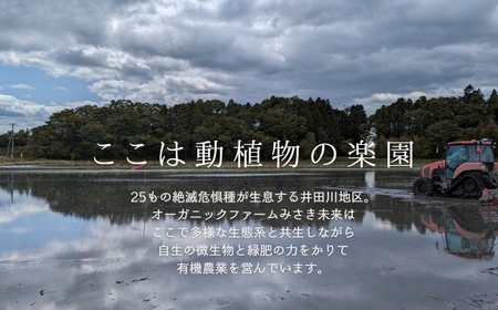 無塩せき ひよりハーブウインナー 1.5kg (150g×10袋) | 南相馬市 ウィンナー