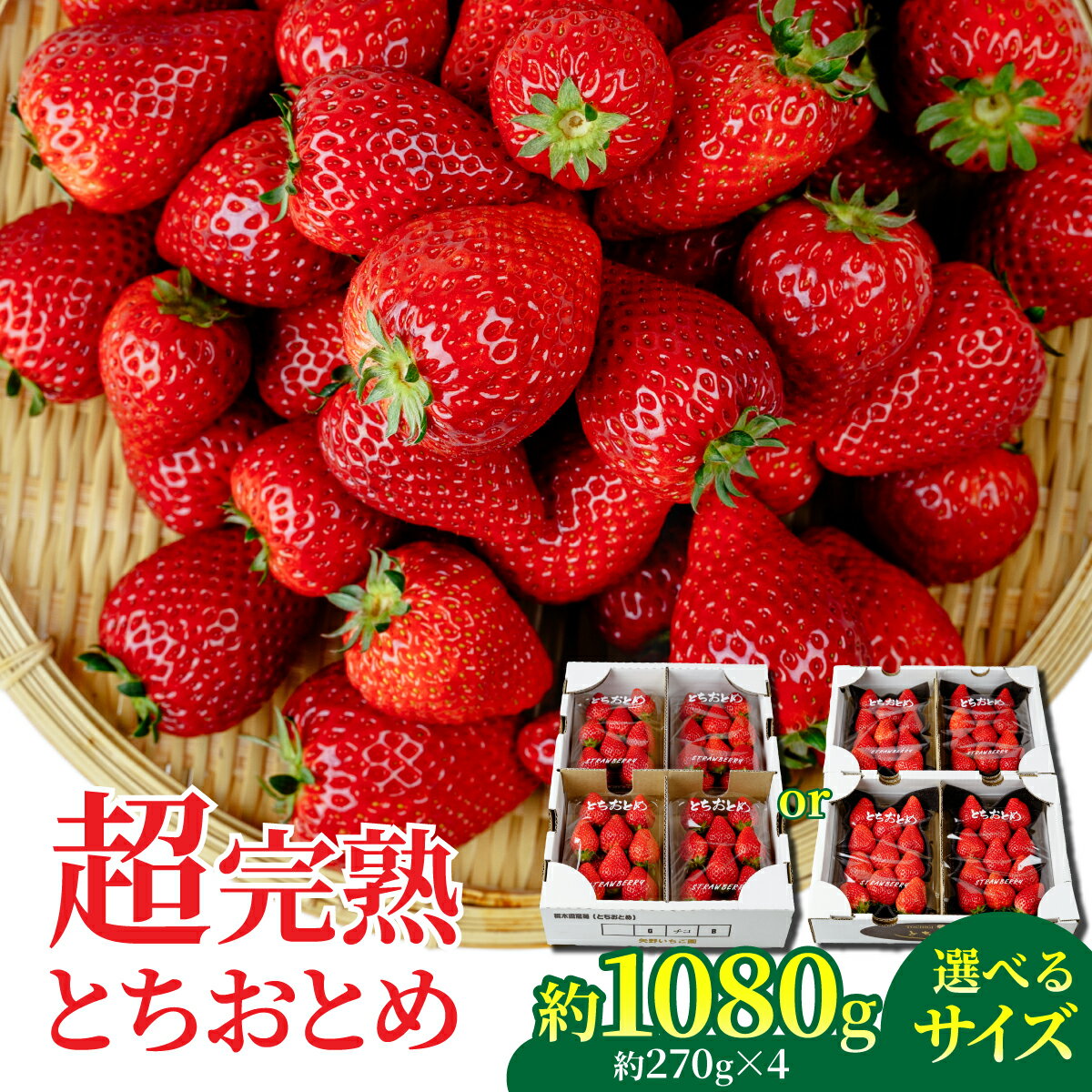【ふるさと納税】＜2026年先行予約＞いちご 矢野農園 とちおとめ 540g 1,080g 選べる発送月＆サイズ | いちご イチゴ 苺 とちおとめ 完熟 果物 フルーツ くだもの 旬 産地直送 栃木県産 矢野農園 栃木県 茂木町