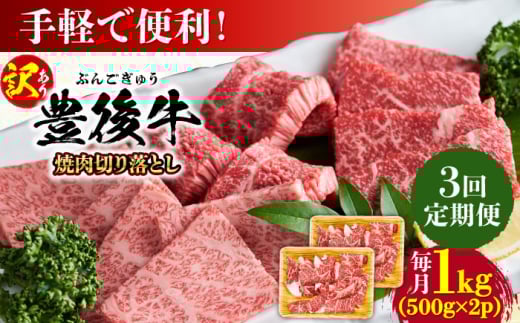 【全3回定期便】【訳あり】おおいた豊後牛 焼肉 切り落とし 1kg(500g×2P) 日田市 / 株式会社MEAT PLUS　牛 うし 黒毛和牛 和牛 豊後牛 [AREI134]
