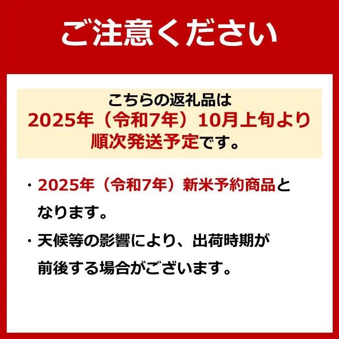 令和７年産「五つ星お米マイスター」の南魚沼産コシヒカリ　無洗米５kg×6回（毎月定期便）